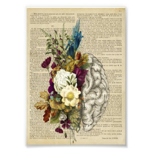 Foto poster de anatomia do cérebro floral médico