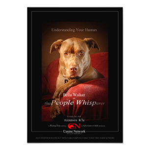 Foto Poster de Filme de Mix Dog de Laboratório de Choc
