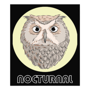 Foto Poster de Ilustração de Coruja Nocturna