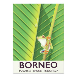 Foto Poster de viagens sapo Borneo Poison