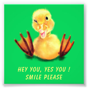 Foto Poster engraçado com um sorriso feliz do pato - Te