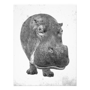 Foto Poster/impressão do Hippopotamus do estilo do
