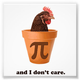 Foto Pote Pi (e mim da galinha não faz o cuidado)