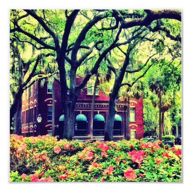 Foto Praça Pulaski, Savannah (Frente)