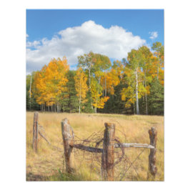 Foto Prado de Flagstaff