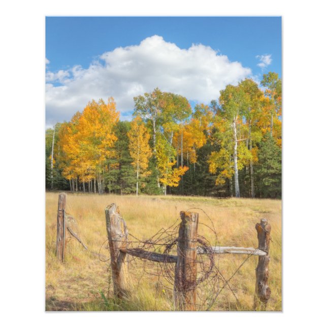 Foto Prado de Flagstaff (Frente)