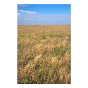 Foto Prado de pastagem a leste de Sidney, Nebraska.