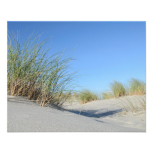Foto Praia