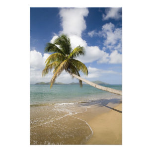 Foto Praia Coconut Grove na Baía de Cades, com St.