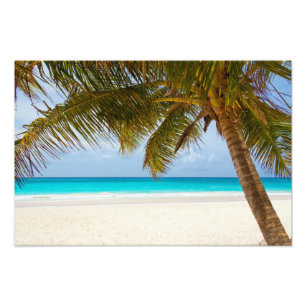 Foto Praia do Paraíso Tropical