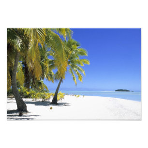 Foto Praia ladeada por palmeiras Ilhas Cook 5
