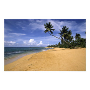 Foto Praia Porto Rico 2
