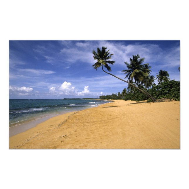 Foto Praia Porto Rico 2 (Frente)