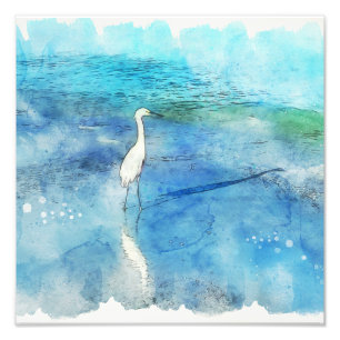 Foto Praia Tropical de Teal Aqua Turquoise Azul com Wh