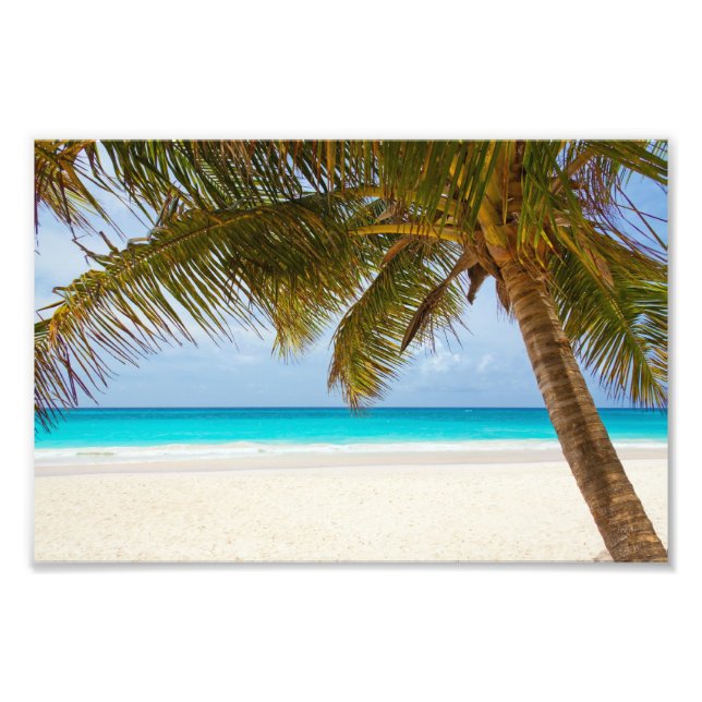 Foto Praia Tropical do Paraíso (Frente)