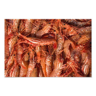 Foto Prawns Deliciosos