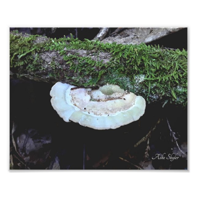 Foto Prazo de validade (Frente)