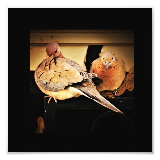 Foto Pré-visualização (Frente)