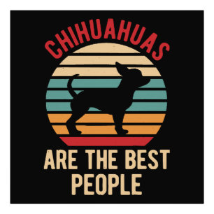 Foto Presente de Cachorros Chihuahua Engraçados