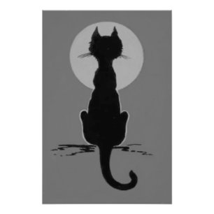 Foto Preto e Branco Monocromático Gato Preto Lua Cheia