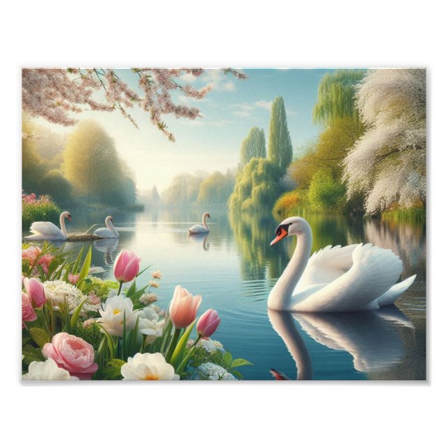 Foto Primavera do lago de swan floral (Frente)