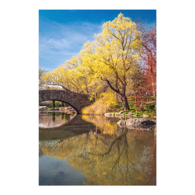Foto Primavera Dourada  (Frente)