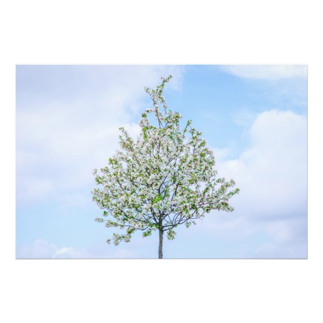 FOTO PRIMAVERA - FELZ PASCOA (Frente)