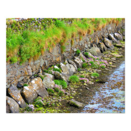 Foto Primavera irlandês nº 1