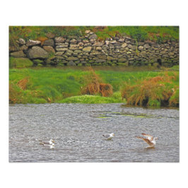 Foto Primavera irlandês nº 2