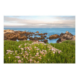 Foto Primavera litoral