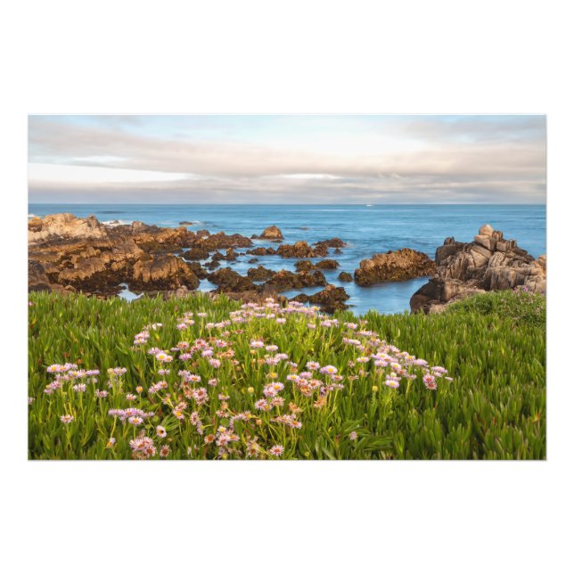 Foto Primavera litoral (Frente)