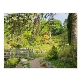 Foto Primavera Morning