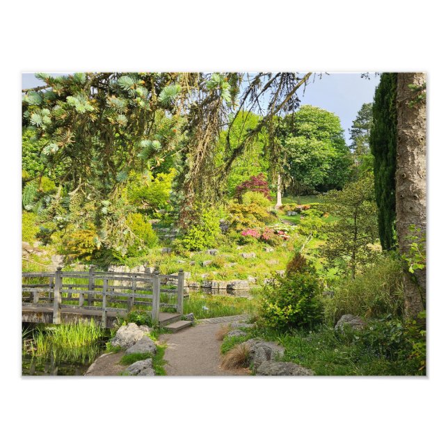 Foto Primavera Morning (Frente)