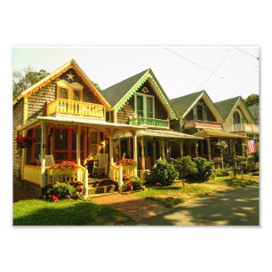 Foto Primavera no Martha's Vineyard - MVCMA