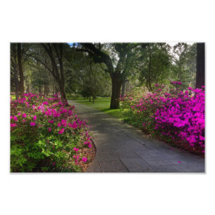 Foto Primavera no parque de Forsyth, savana
