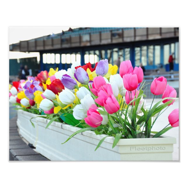 Foto Primavera para frente (Frente)