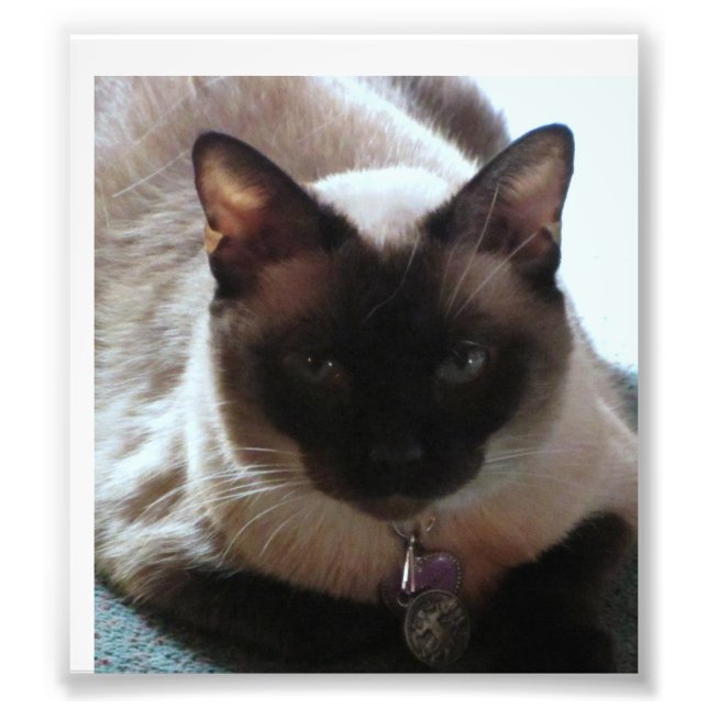 Foto Princesa (Frente)