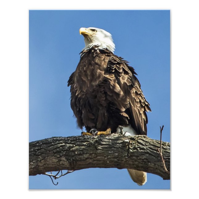 Foto Procurando (Frente)