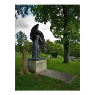 Foto "Proteção Continua"