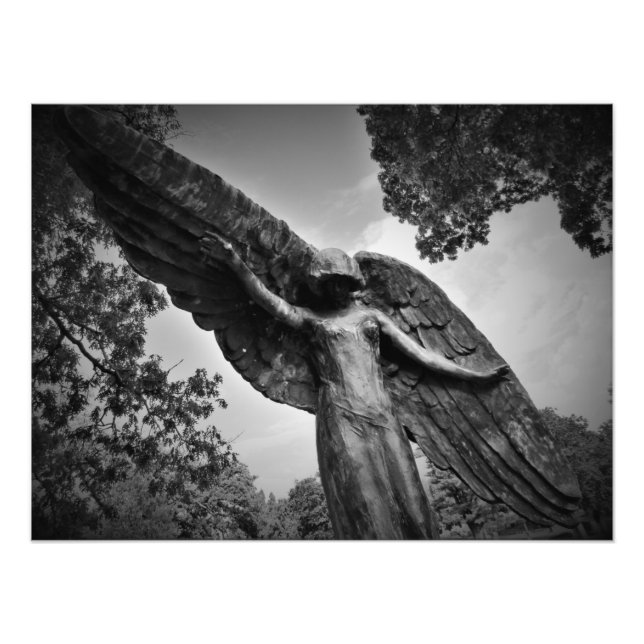 Foto "Proteção de cima" (Frente)