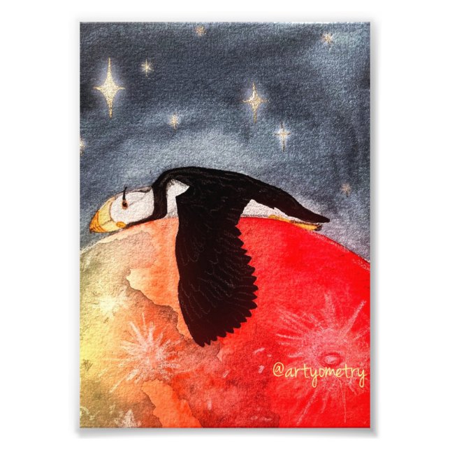 Foto Puffin Sonolento (Frente)