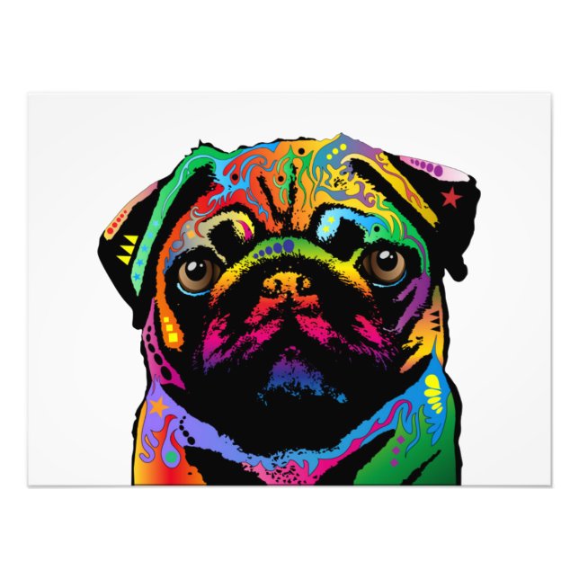 Foto Pug Dog (Frente)
