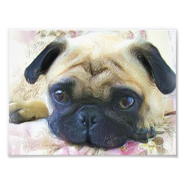 Foto Pug dog (Frente)