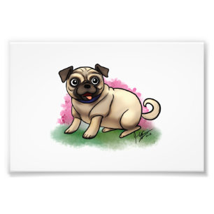 Foto Pug Impressão