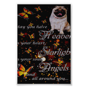 Foto Pug In My Heart, Engraçado Cachorro Dom Ideia