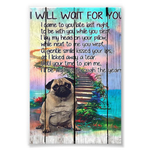 Foto Pug, Vou Esperar Por Você, Pug Lover Dift, Pug Dog