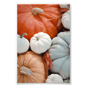 Foto Pumpkins Azul Cor-de-laranja Vermelho
