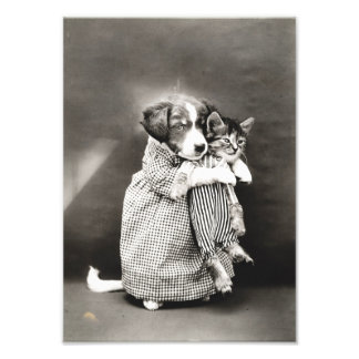 Foto Puppy Segurando Pequeno Gato