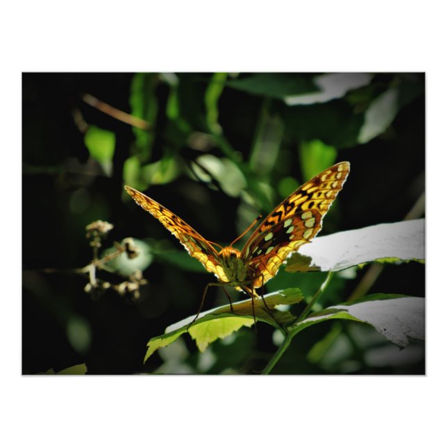 Foto "Puxando alegria" (Frente)