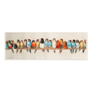 Foto Quadro com grupo de pássaros